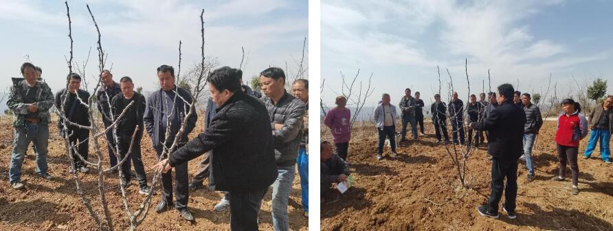 201650443766236167.jpeg 201650443766236167.jpeg